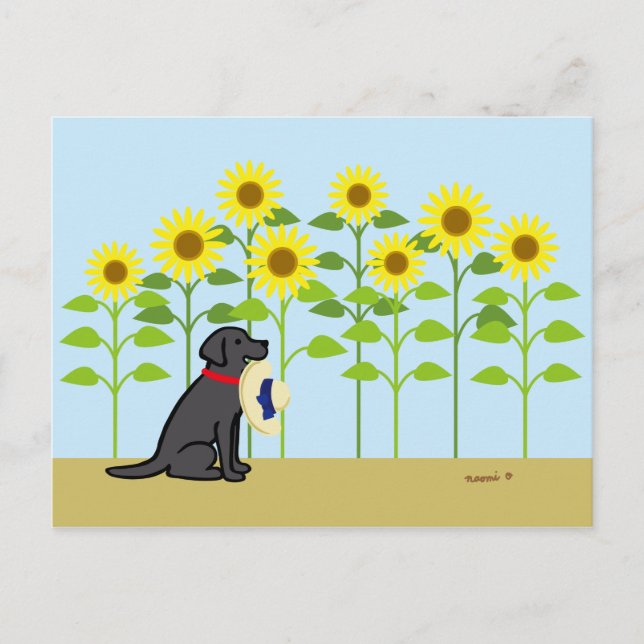 Schwarzer Labrador und Sonnenblumen Sommer Postkarte (Vorderseite)