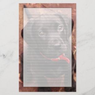 Schwarzer Labrador-Welpe Briefpapier