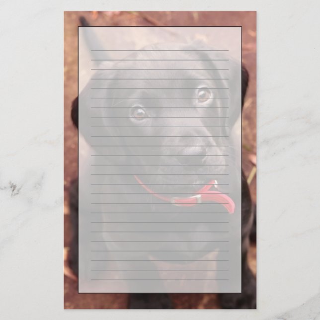 Schwarzer Labrador-Welpe Briefpapier (Vorderseite)