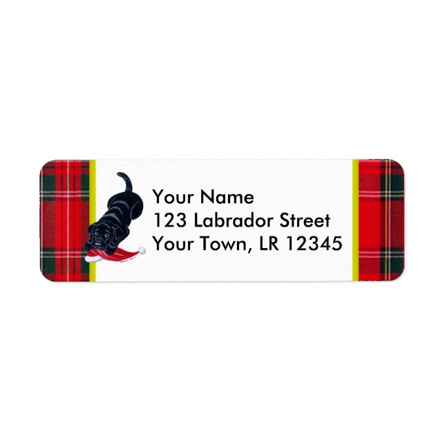 Schwarzer Labrador Welpe mit Weihnachtsmannmütze W (Vorne)