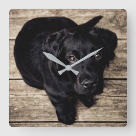 Schwarzer Labrador-Welpe Quadratische Wanduhr