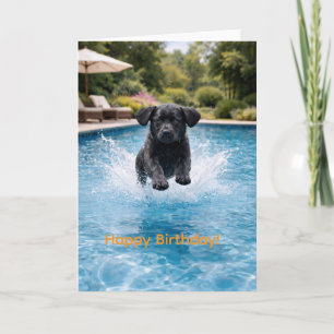 Schwarzer Labrador-Welpe springt ins Schwimmbecken Karte