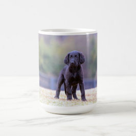 Schwarzer Labrador-Welpe stehend Kaffeetasse