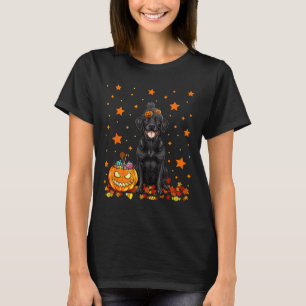 Schwarzer Labradorhund und Kürbiskonfekt Lustig T-Shirt