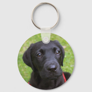 Schwarzer Labradorschlüsselring Schlüsselanhänger