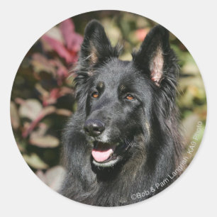 Schwarzer langhaariger Schäferhund Runder Aufkleber