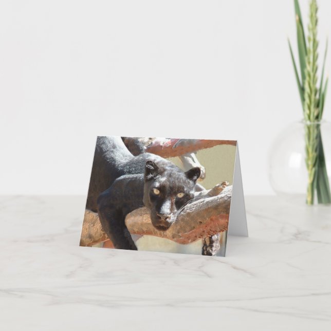 Schwarzer Leopard Karte (Vorderseite)