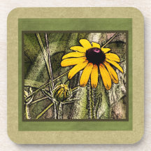 Schwarzer mit Augen Susie