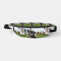 Schwarzer Mops