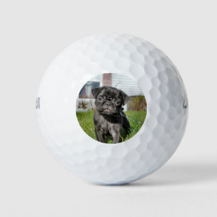 Schwarzer Mops Golfball
