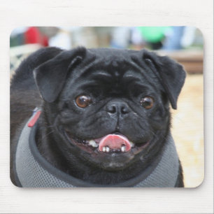 Schwarzer Mops-Hund Mousepad