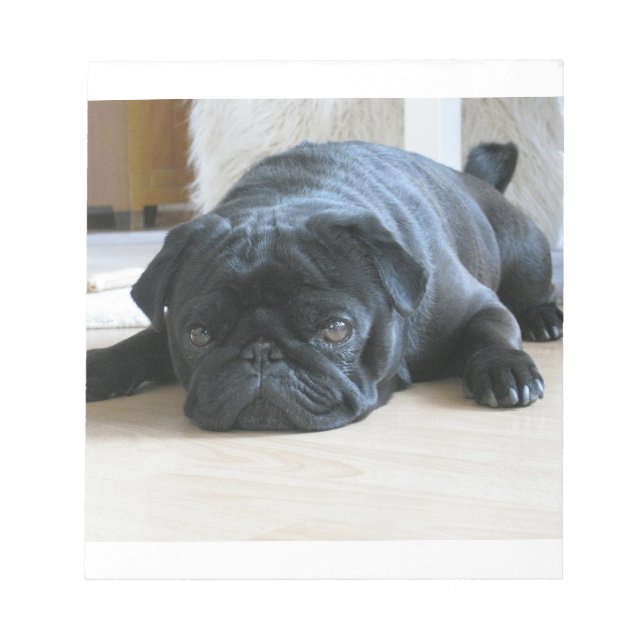 Schwarzer Mops Notizblock (Vorderseite)