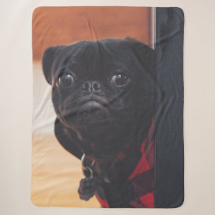 SCHWARZER MOPS SHERPADECKE