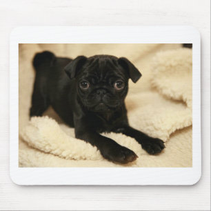 Schwarzer Mops-Welpe Mousepad