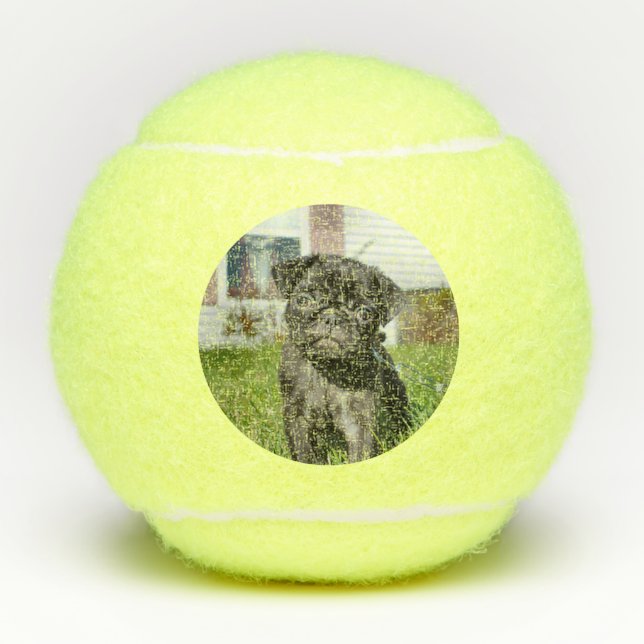 Schwarzer Mops Welpe Tennisbälle (Vorderseite)