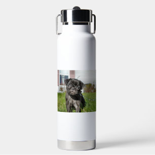Schwarzer Mops Welpe Trinkflasche