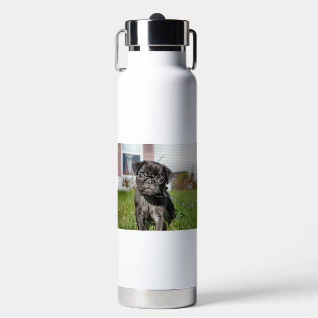 Schwarzer Mops Welpe Trinkflasche (Vorderseite)