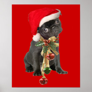 Schwarzer Mops Welpe Weihnachtsportrait Poster