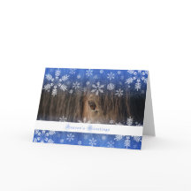 Schwarzer Mustang - 12x18 Feiertags-Karte