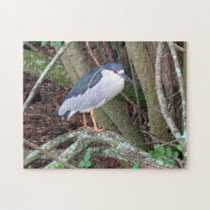 Schwarzer Nachtreiher - Bird - Puzzle