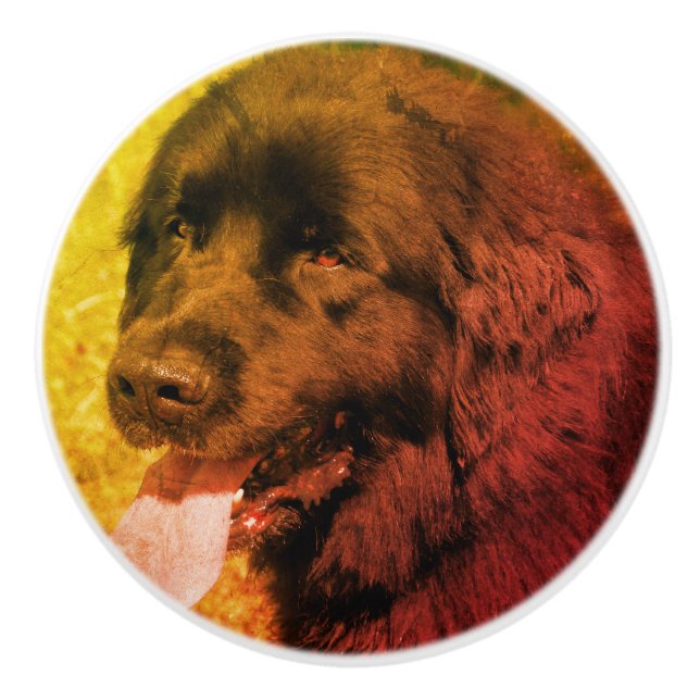 Schwarzer Neufundland Hund Abstrakt Grunge  Keramikknauf (Vorderseite)