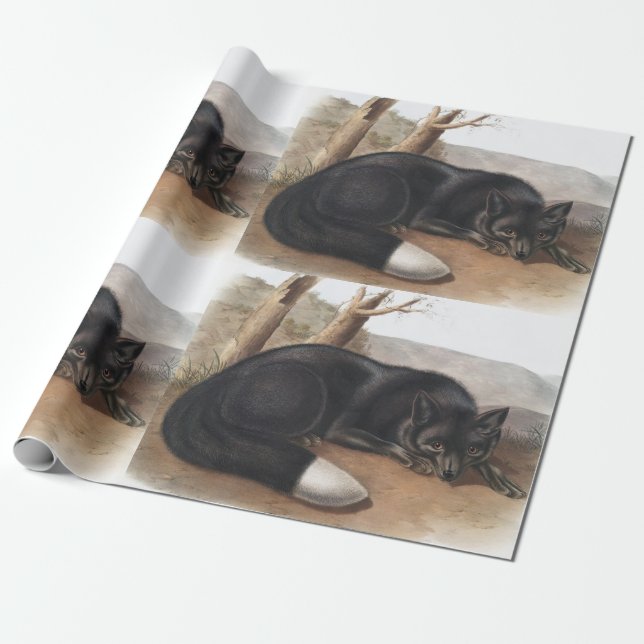 Schwarzer oder Silberfuchs (Vulpes fulvus) Geschenkpapier (Ungerollt)