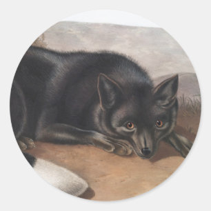 Schwarzer oder Silberfuchs (Vulpes fulvus) Runder Aufkleber