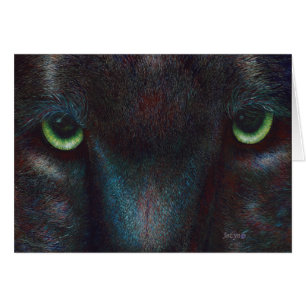 Schwarzer Panther "Hyptnotist "