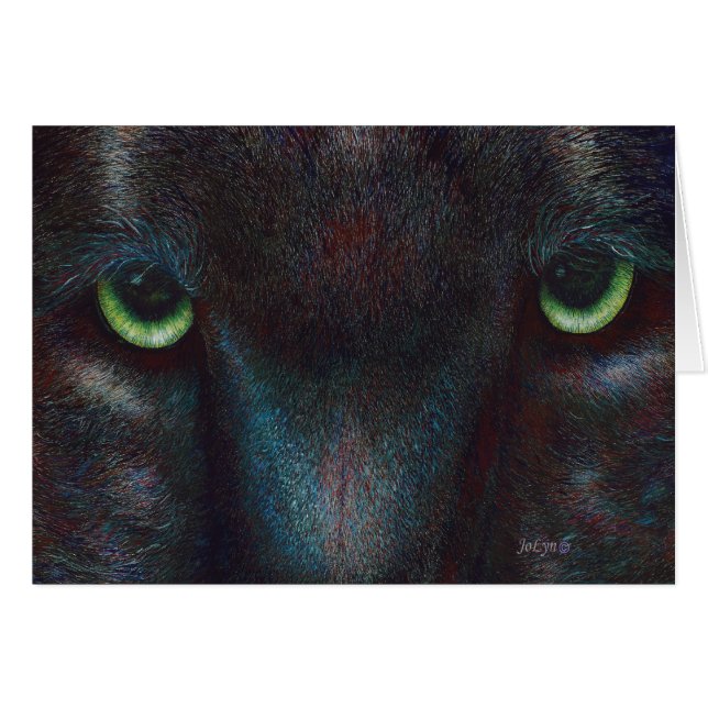 Schwarzer Panther "Hyptnotist " (Vorderseite (Horizontal))