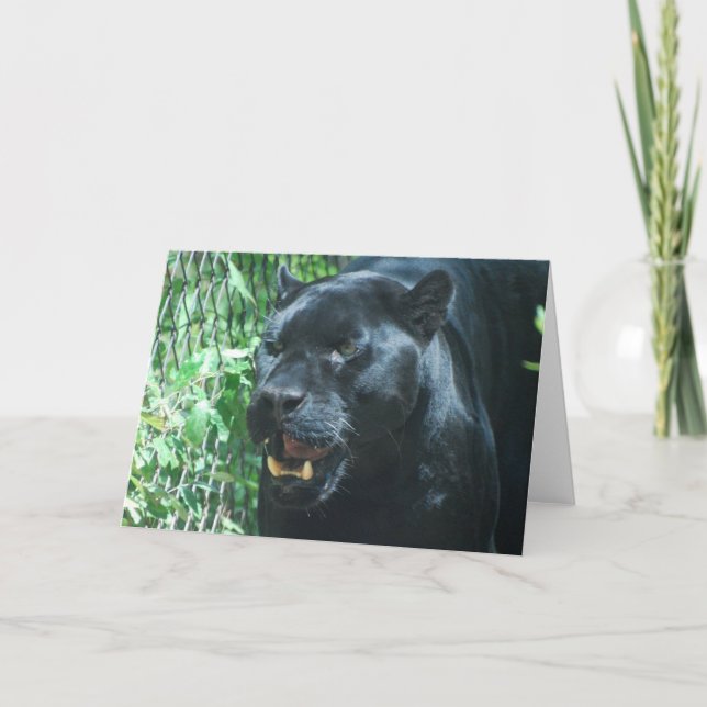 Schwarzer Panther-Katzen-Gruß-Karte Karte (Vorderseite)