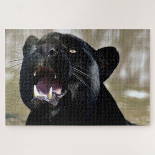 Schwarzer Panther mit Zähne und gelben Augen