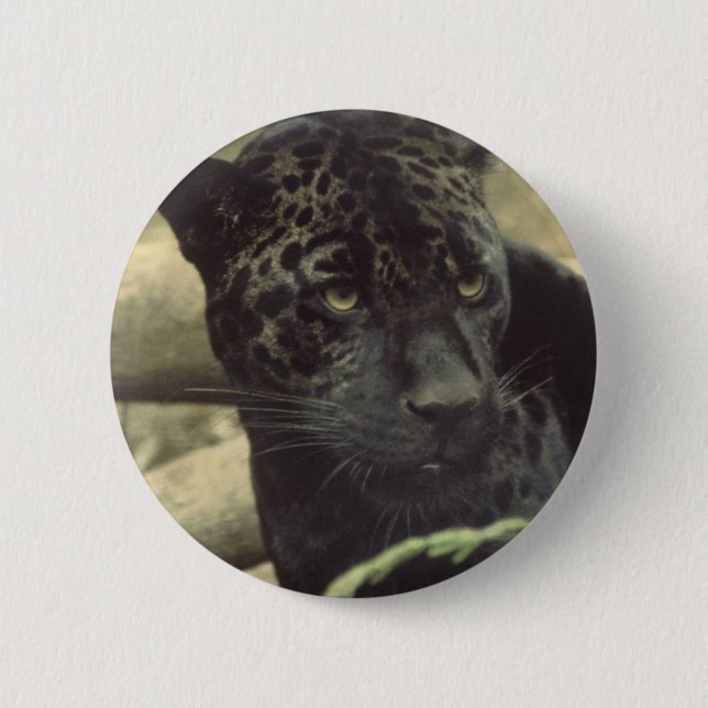 Schwarzer Panther-runder Knopf Button (Vorderseite)