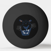 Schwarzer Panther