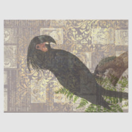 Schwarzer Papagei mit Damask und Newsprint Decoupa Seidenpapier