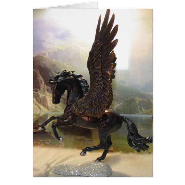 Schwarzer Pegasus (Vorne)