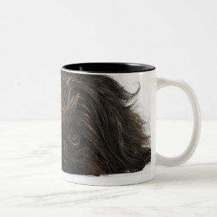 Schwarzer Pekingese Hund, der sich hinlegt Zweifarbige Tasse