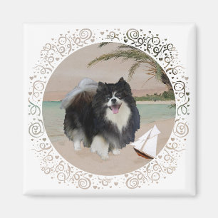 Schwarzer Pomeranian mit Segelboot Magnet