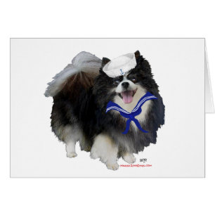 Schwarzer Pomeranian Seemann