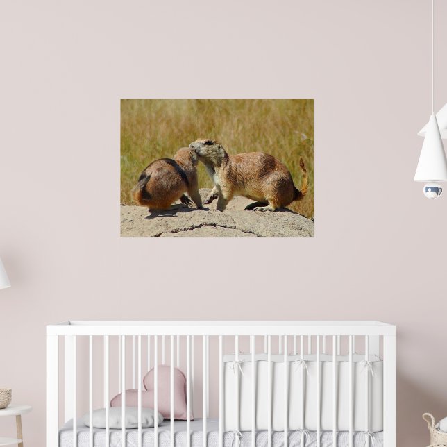 "Schwarzer Präriehund Gerahmt drucken Poster (Kinderzimmer 2)