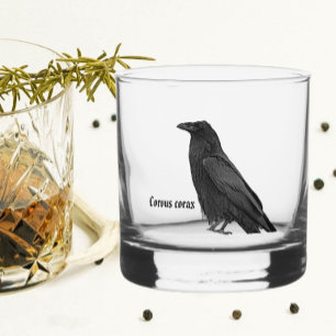 Schwarzer Rabe mit wissenschaftlichem Namen Whiskyglas