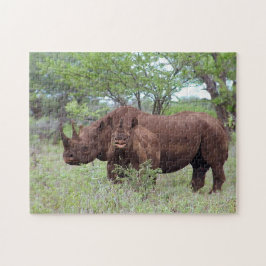 Schwarzer Rhino mit Kalb