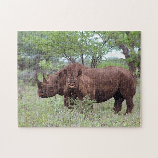 Schwarzer Rhino mit Kalb (Horizontal)