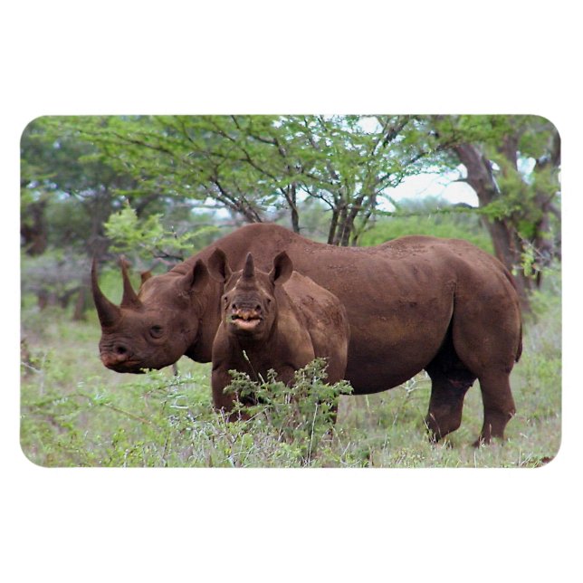 Schwarzer Rhino mit Kalb Magnet (Horizontal)
