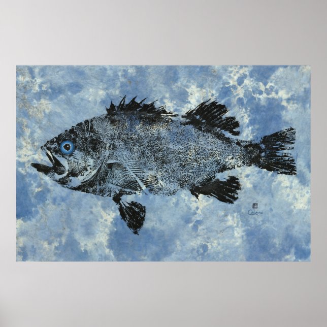 Schwarzer Rockfish auf blau - 36" x 24" Poster (Vorne)