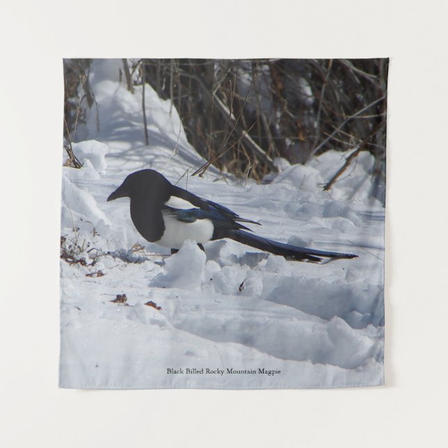 Schwarzer Rocky Mountain Magpie-Quadrat Wandteppich (Vorderseite)