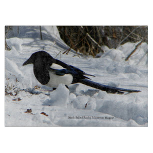 Schwarzer Rocky Mountain Magpie Schneiderbrett Schneidebrett