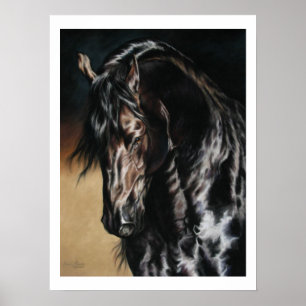 Schwarzer Satin - Druck Poster