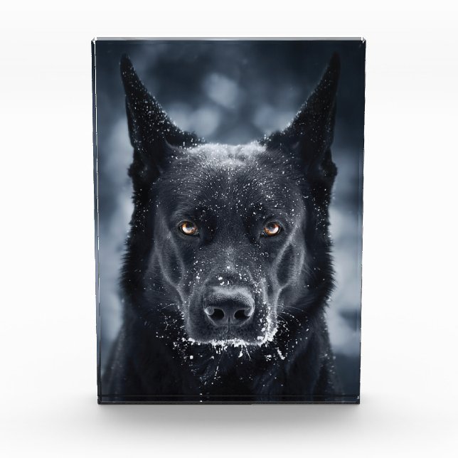 Schwarzer Schäfer Fotoblock (Vorderseite)