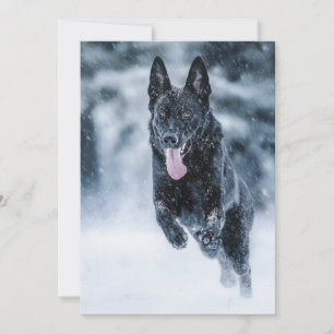 Schwarzer Schäfer im Schnee Einladung