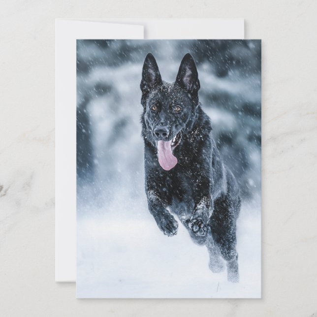 Schwarzer Schäfer im Schnee Einladung (Vorderseite)
